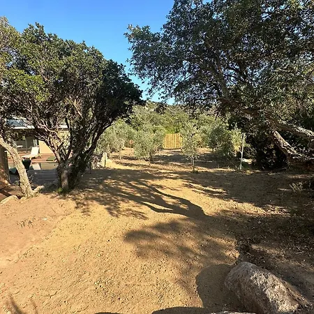 Toussaint * Pianottoli-Caldarello (Corsica)